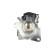 EGR valve, Thumbnail 2