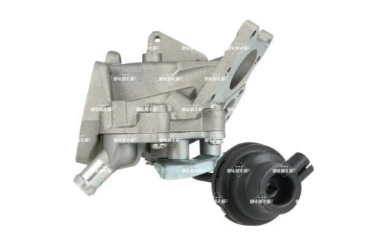 EGR valve
