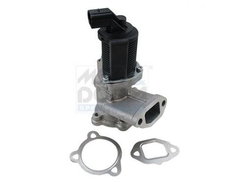 EGR valve