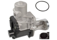 EGR valve