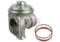 EGR valve