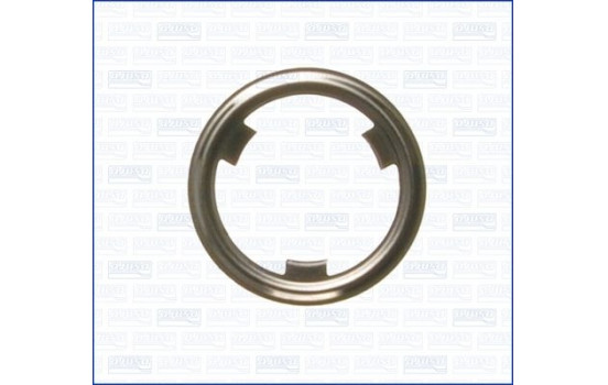 Gasket/ Seal