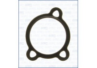 Gasket/ Seal