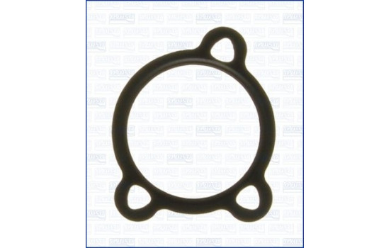 Gasket/ Seal