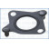 Gasket/ Seal