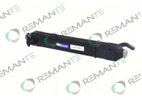 REMAN EGR module 1724124