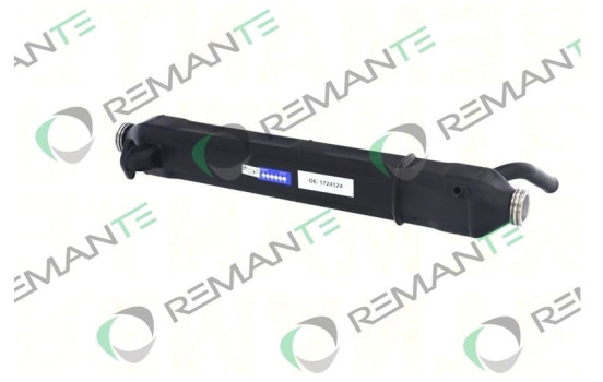 REMAN EGR module 1724124