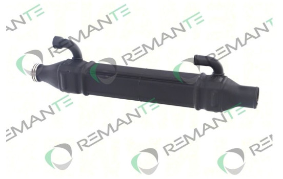 REMAN EGR module 1795704