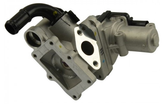Seal, EGR valve EEG-3032 Kavo parts