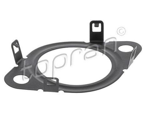 Seal, EGR valve