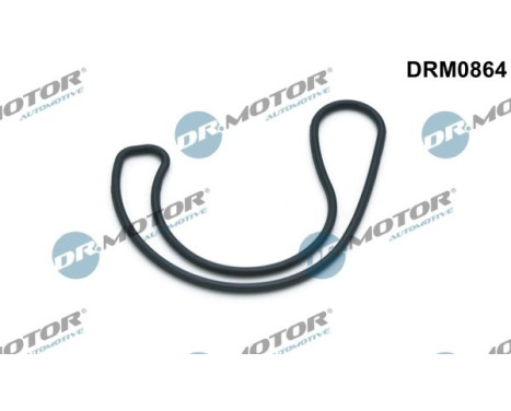 Seal, EGR valve