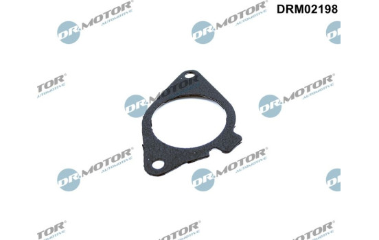 Seal, EGR valve