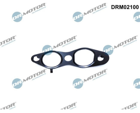 Seal, EGR valve