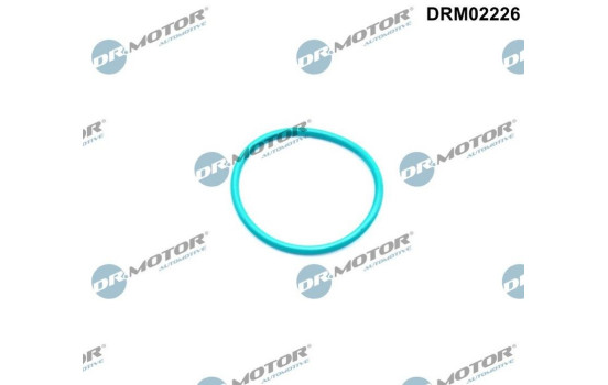 Seal, EGR valve
