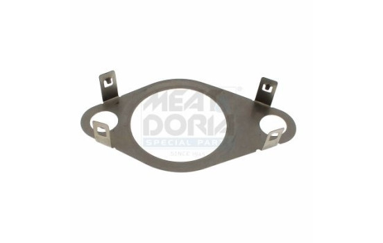 Seal, EGR valve