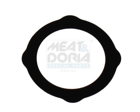 Seal, EGR valve