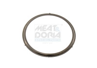 Seal, EGR valve
