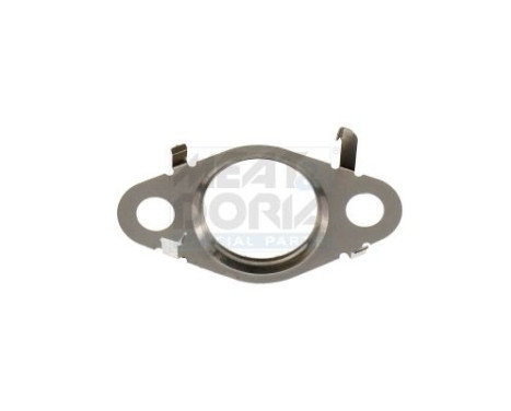 Seal, EGR valve
