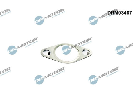 Seal, EGR valve
