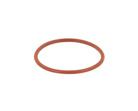 Seal, EGR valve