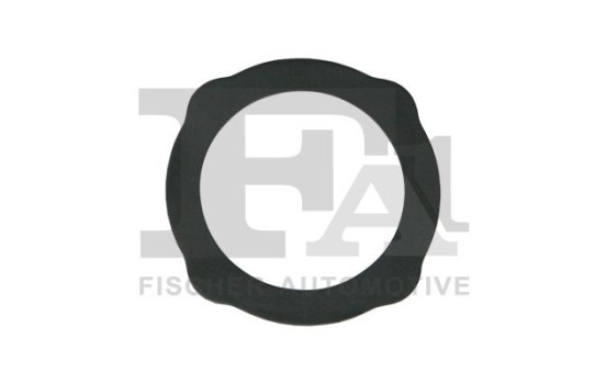 Seal ring, EGR valve pipe