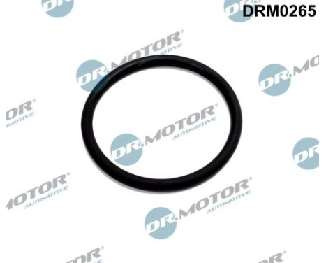 Seal ring, EGR valve pipe