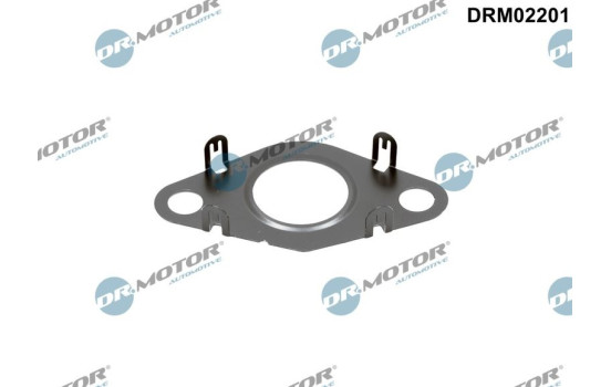 Sealing ring, EGR valve pipe