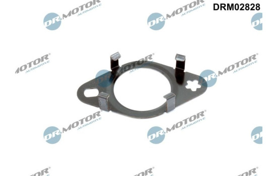 Sealing ring, EGR valve pipe