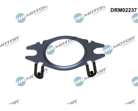 Sealing ring, EGR valve pipe
