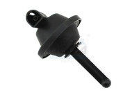 Valve, exhaust gas recirculation