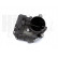 Throttle body Hueco