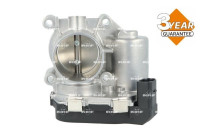 Throttle body