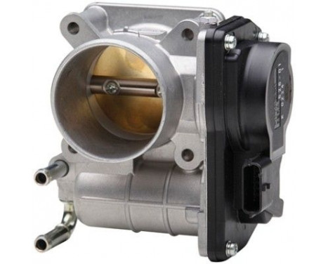 Throttle body