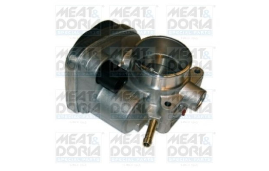 Throttle body