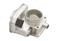 Throttle body