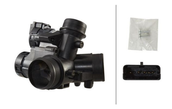 Throttle body