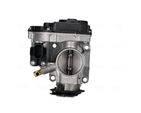 Throttle body