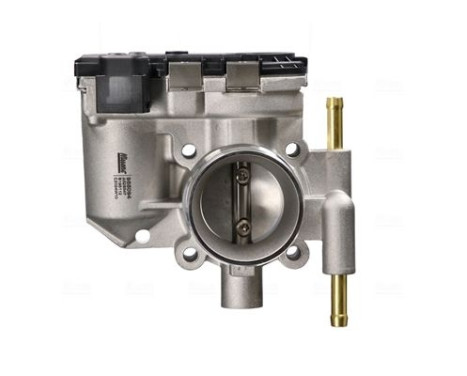 Throttle body