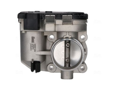 Throttle body