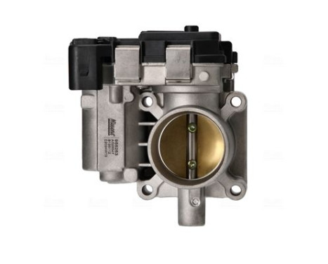Throttle body