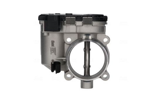 Throttle body