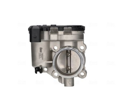 Throttle body
