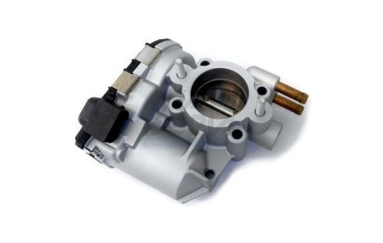 Throttle body