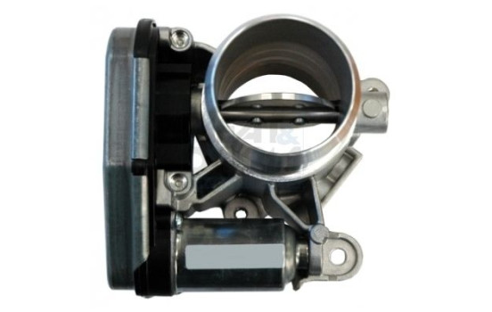 Throttle body