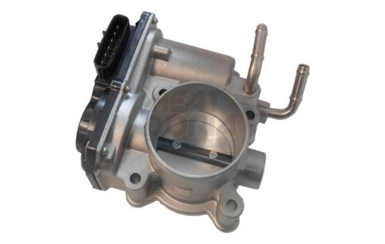 Throttle body