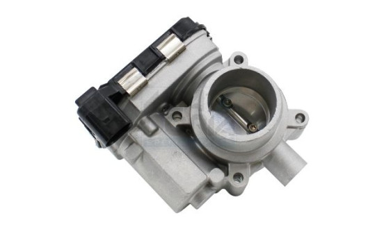 Throttle body