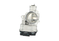 Throttle body