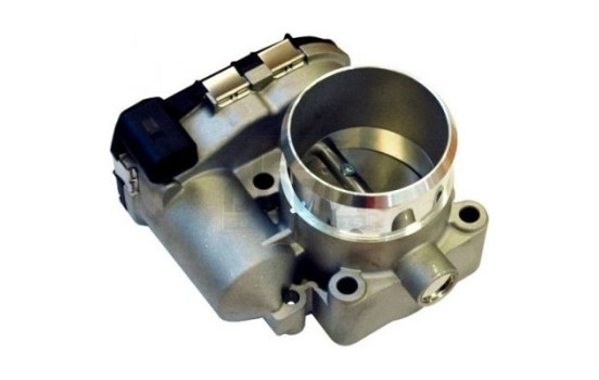 Throttle body