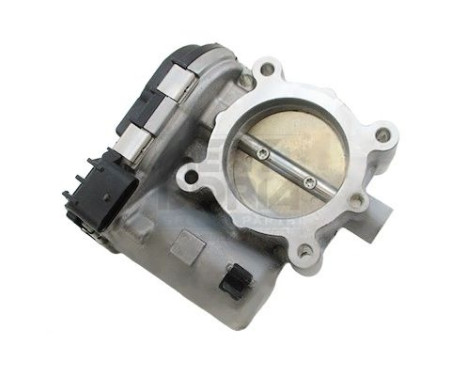 Throttle body