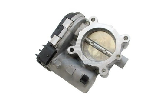 Throttle body